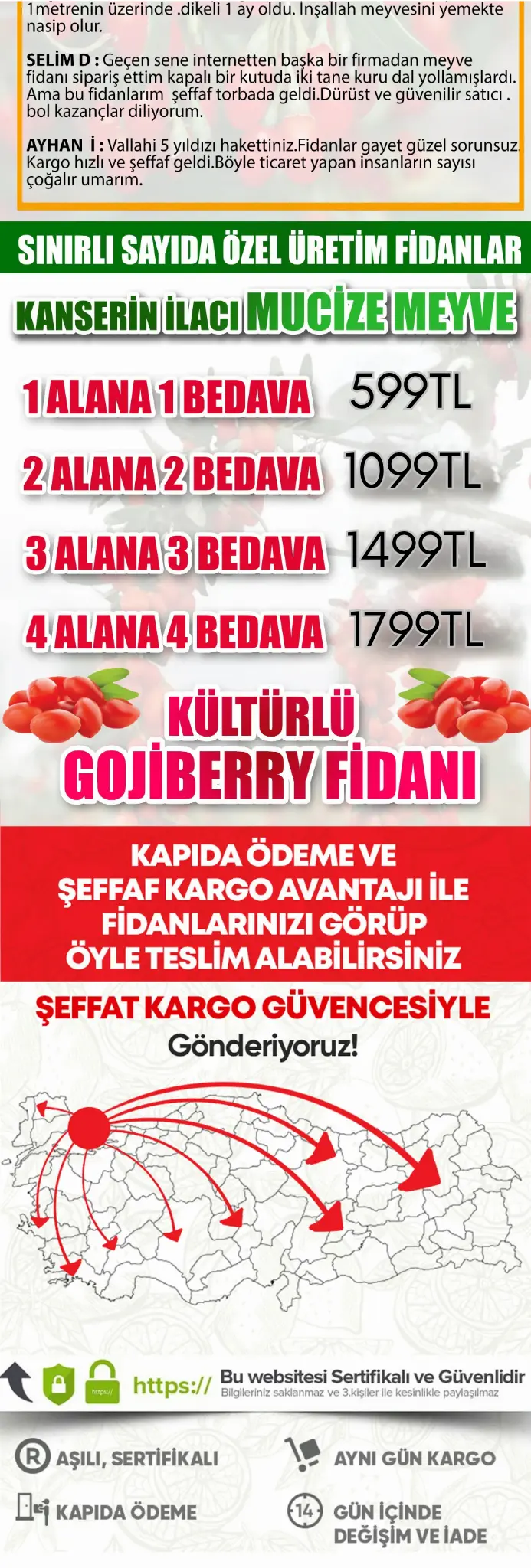 Gojiberry fidanı